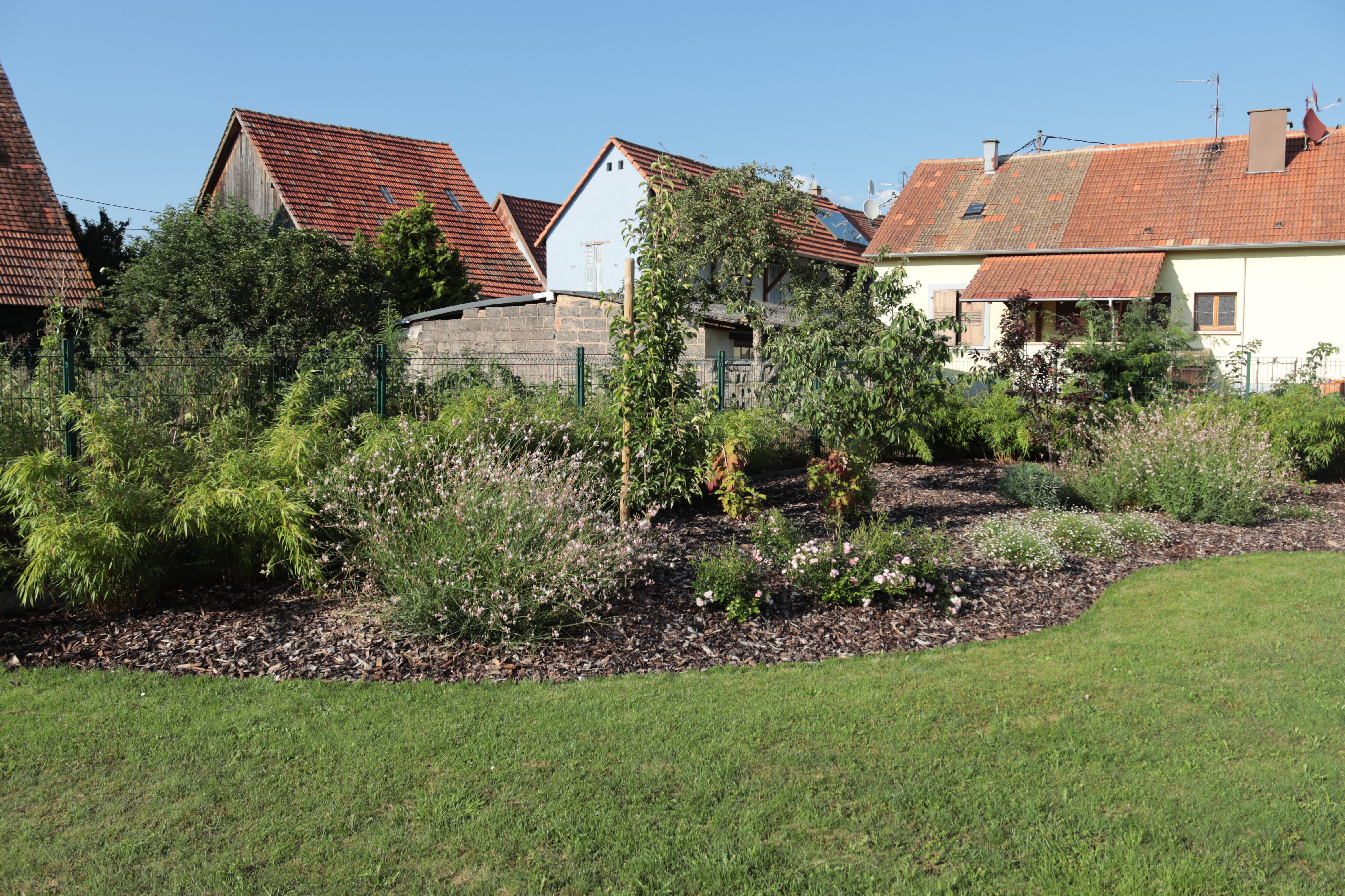 espaces_paysagers_paysagiste_planations_massif_vegetaux_jardin_duppigheim.jpg